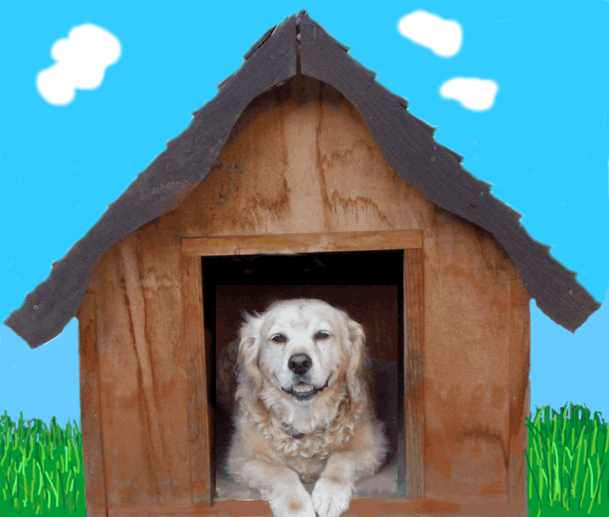 Dog House. In the Dog House idiom. Мем ипотека суть конура. Dog House meme. Зе дог хаус демо dog houses info