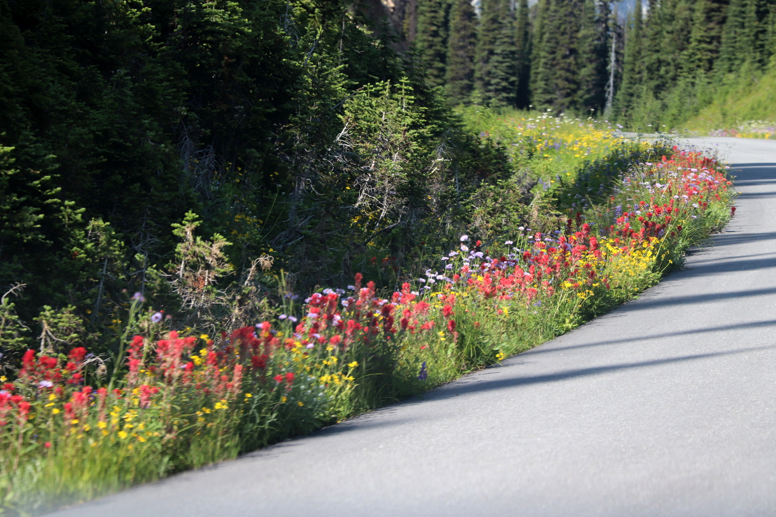 Канада2019: день 9 