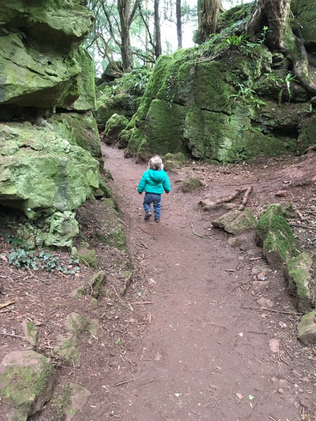 toddler walking on mud path between rocks covered in green plants. Beautiful.