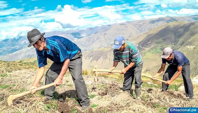 Ministerio de Desarrollo Agrario y Riego