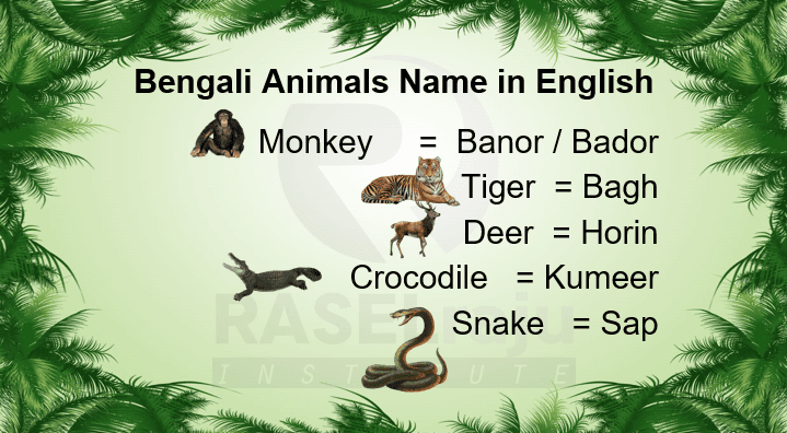 Learn Bengali Animals Name Through English – Learn Bengali Fast