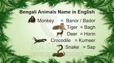 Learn Bengali Animals Name Through English – Learn Bengali Fast