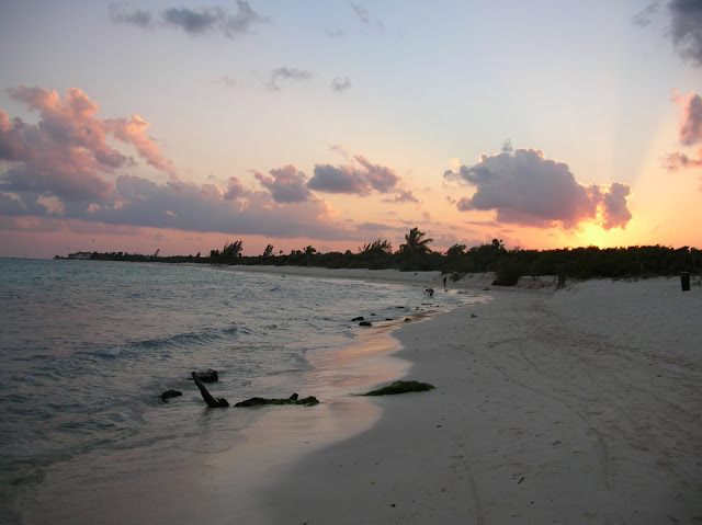 cosa fare a playa del carmen