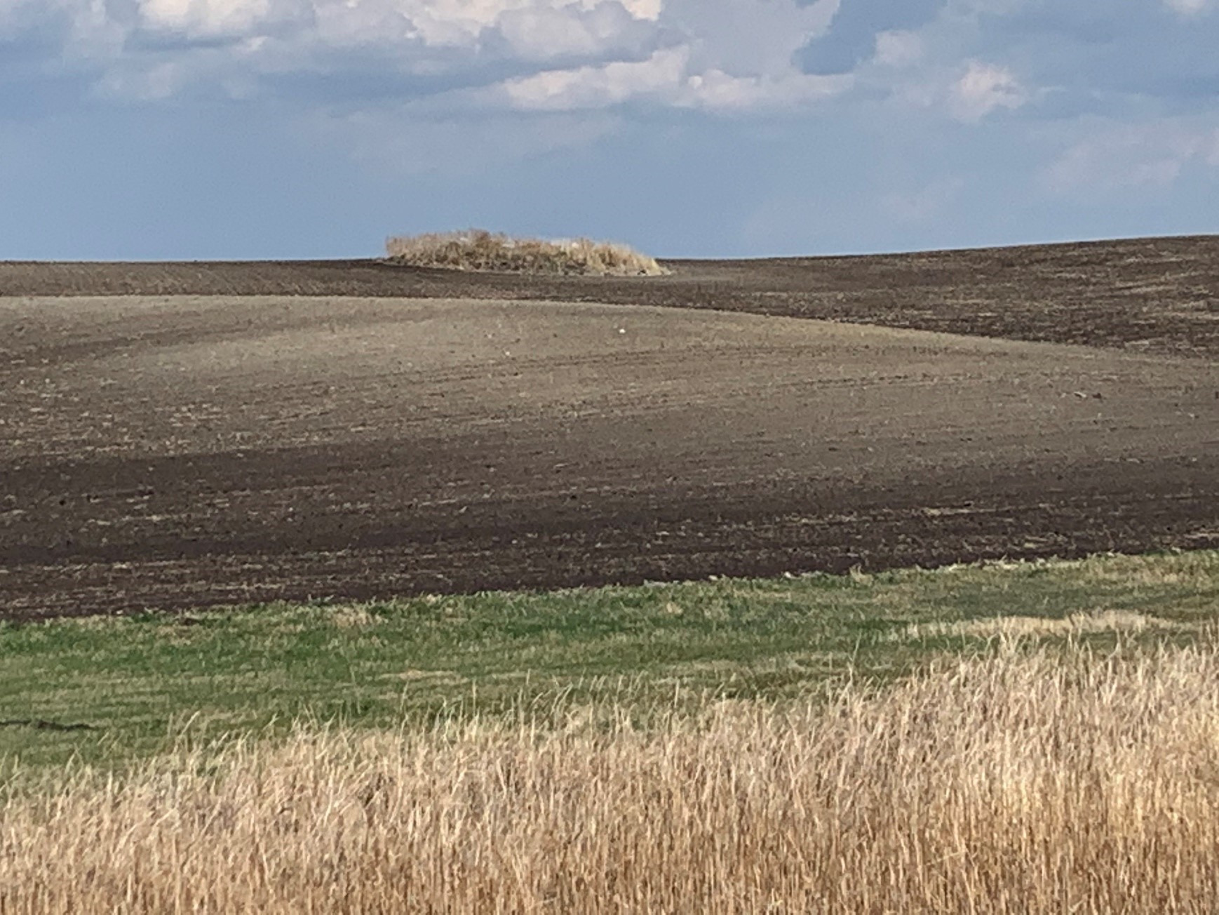 Shocking Statistics How Much Topsoil Are We Losing Every Year - 6am46w8