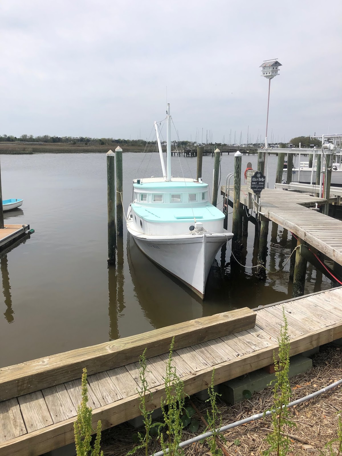 The Cruising Adventures of Wally and Darcy April 38, 2019 TOPSAIL