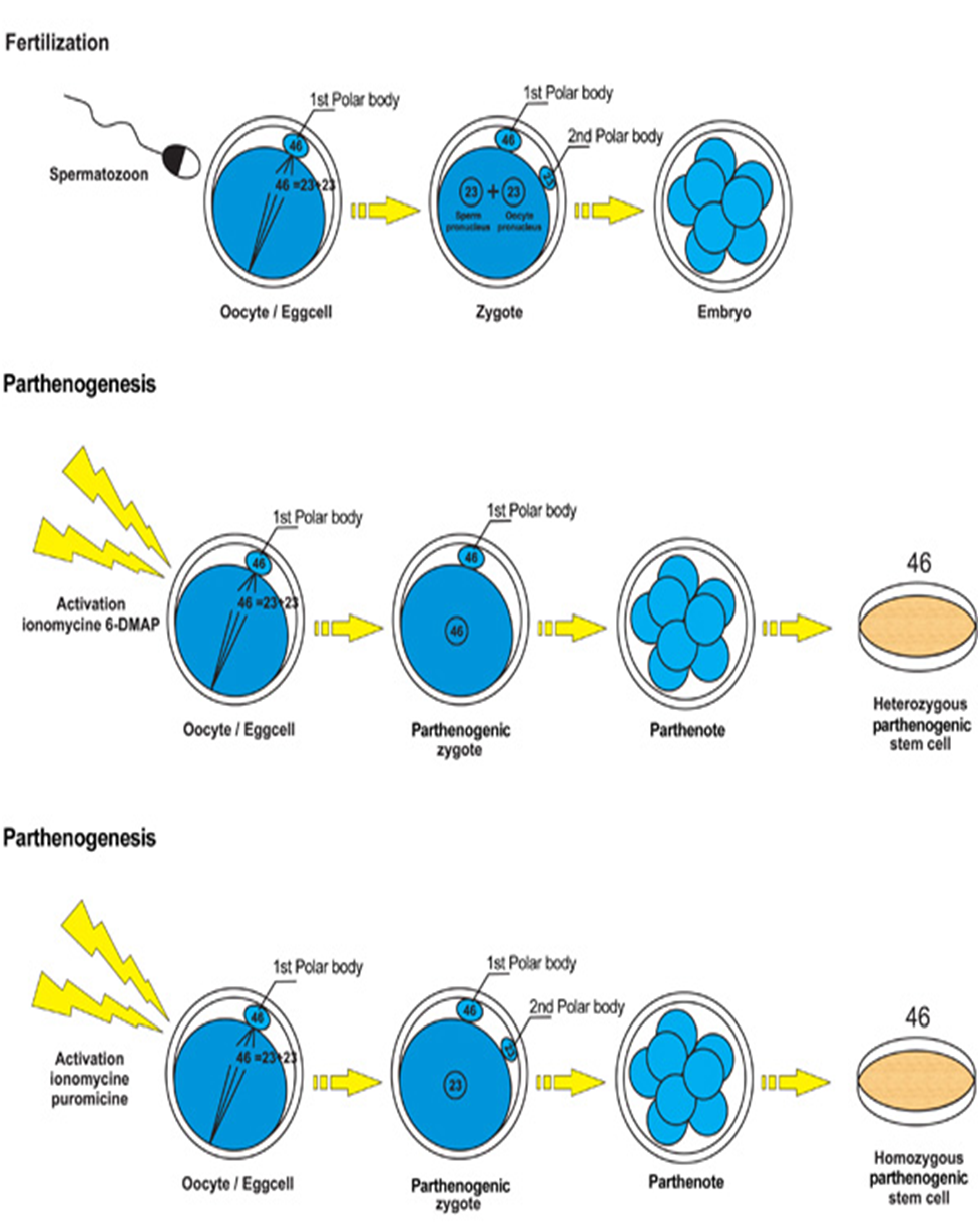 Berbagi Ilmu: Biologi
