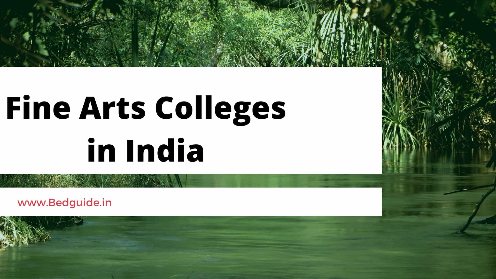 Top 20 Fine Art Colleges in India Without Entrance Exams