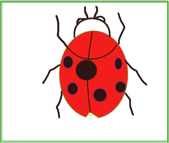 Simple Cute Ladybug Drawing Easy-How To Draw a Ladybug