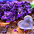 Dementia Patients in the Hospital, How You can Help