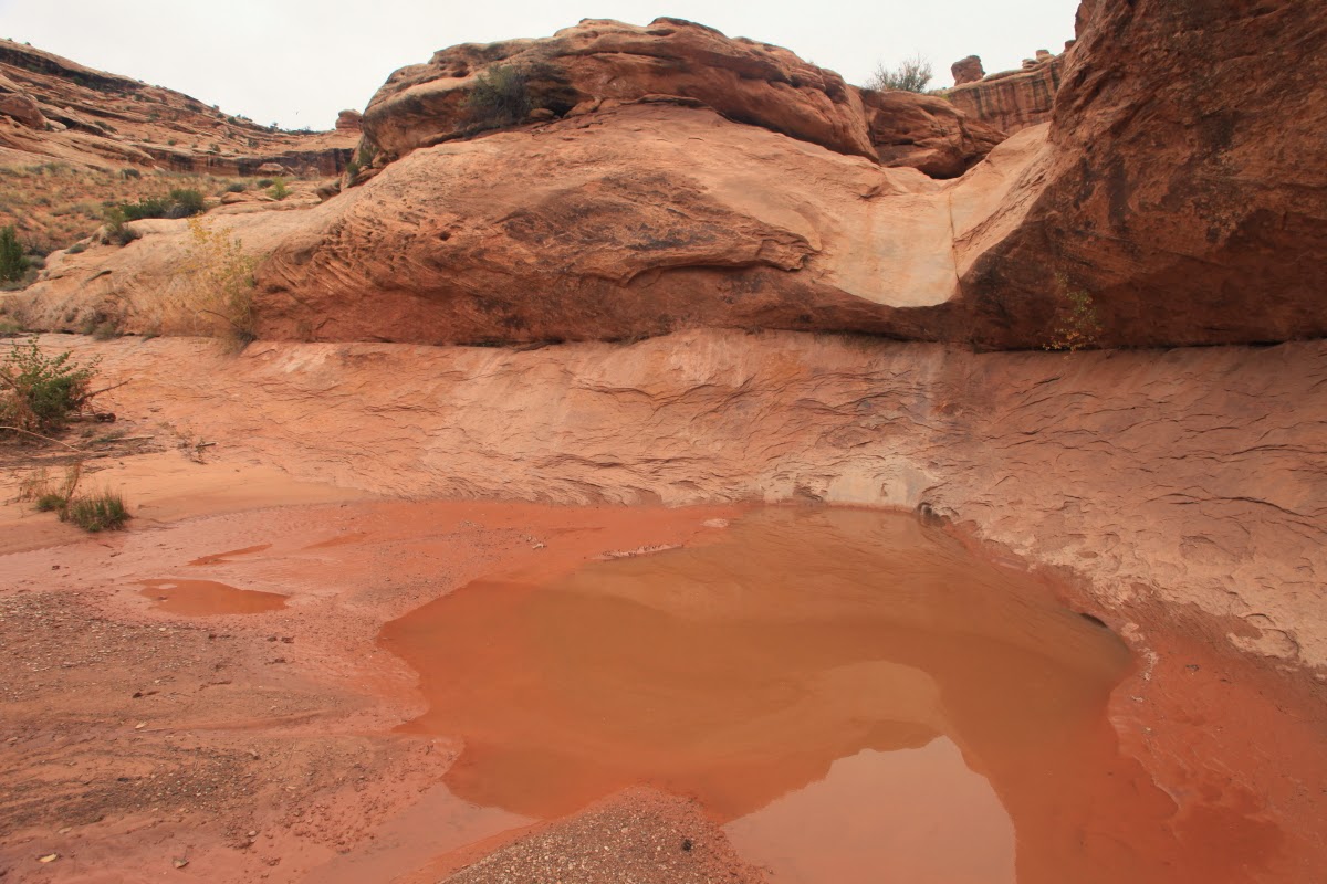 Earthly Musings My Travel and Geology Blog Hiking Into Grand Gulch Utah Cedar Mesa