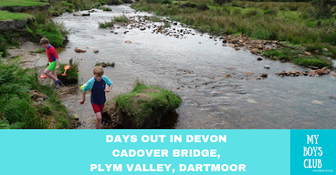 Days Out in Devon – Cadover Bridge, Plym Valley, Dartmoor