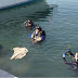 Εθελοντές δύτες καθάρισαν τον βυθό στην παραλία της Αρετσούς (ΦΩΤΟ)