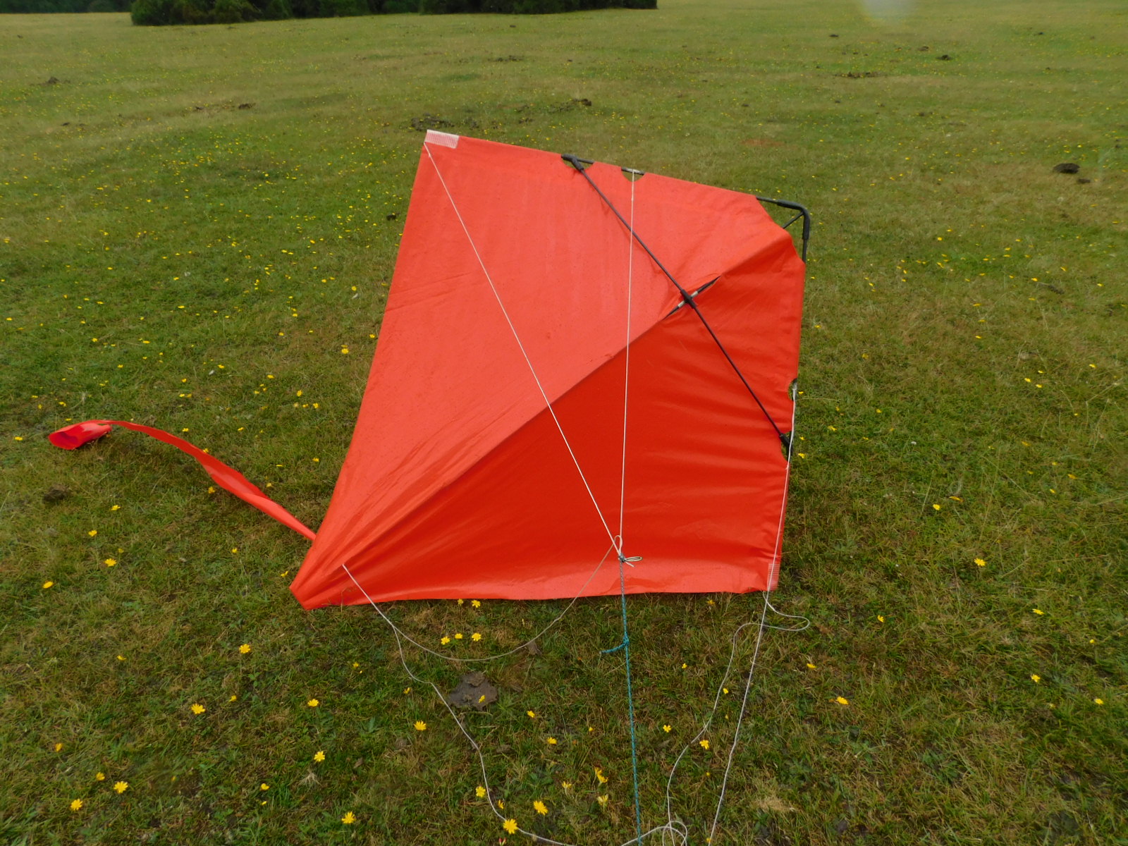 Peter Powell kites collection Black fibreglass spars