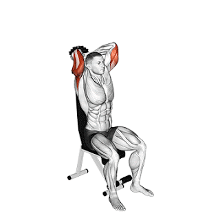 Top 5 Exercises To Build Triceps, Seated Overhead Dumbbell Extension Top 5 Exercises To Build Triceps, Seated Overhead Dumbbell Extension