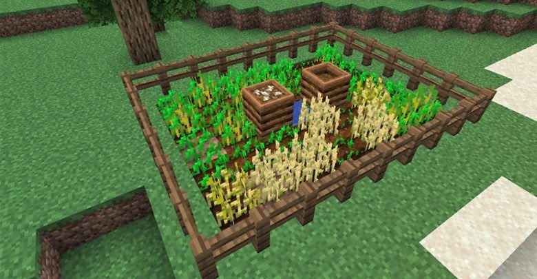 How to make a vegetable garden in Minecraft
