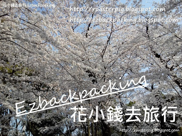 2023年東北櫻花+北海道櫻花時間:櫻花預測+2022年櫻花情報