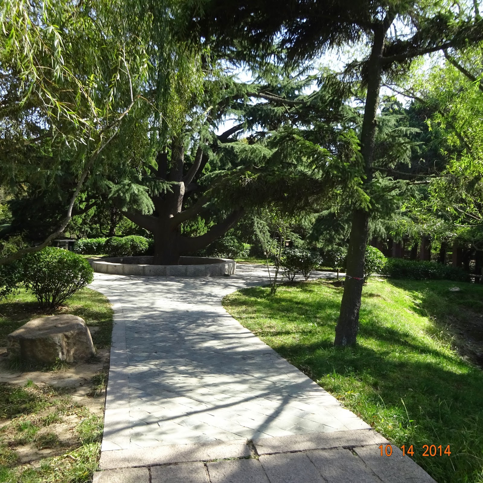 HAN GANADO LOS MALOS El parque de Zhongshan