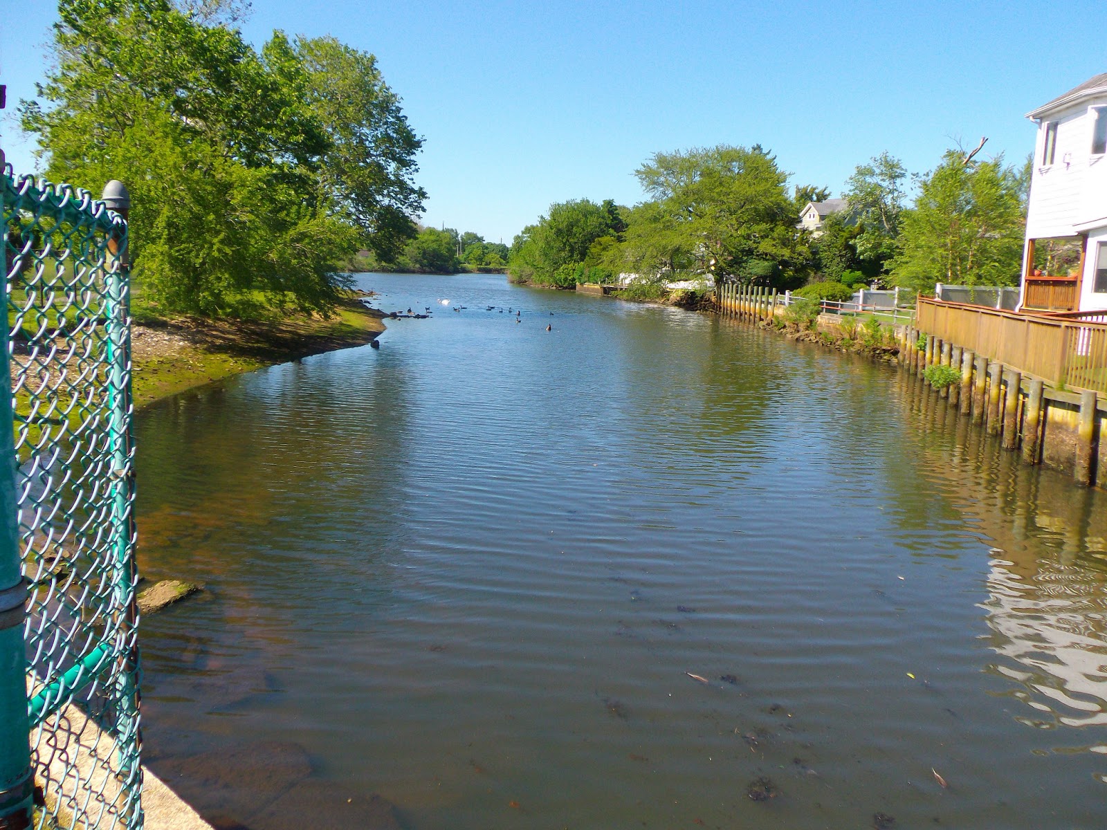 The Great Lakes of NYC Long Island fly fishing for Carp