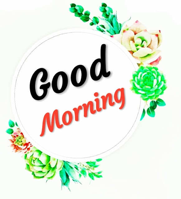 Best 60+ Good Morning Images For Whatsapp Good Morning Images For