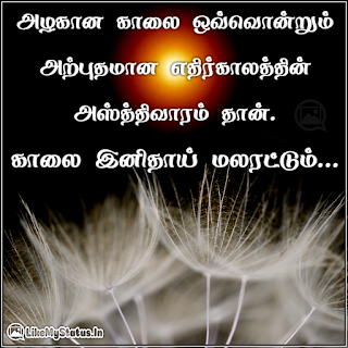 அழகான காலை ஒவ்வொன்றும் அற்புதமான எதிர்காலத்தின் அஸ்த்திவாரம் தான். காலை இனிதாய் மலரட்டும்...