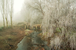 Las compuertas, la presa