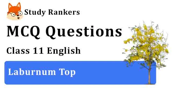 MCQ Questions for Class 11 English Laburnum Top Hornbill