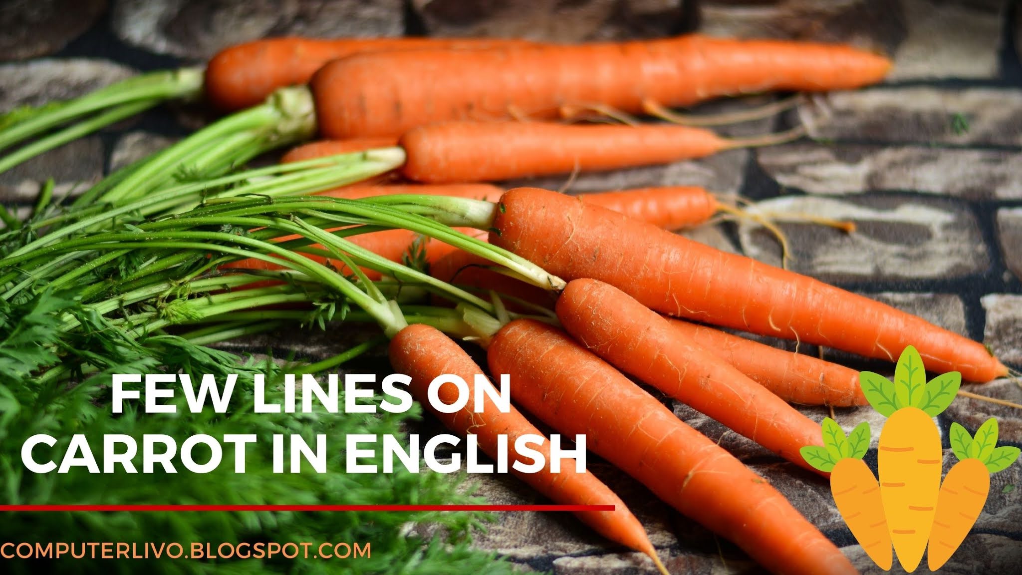 Carrot Sentence In English, Few Lines on Carrot in English Computer Livo