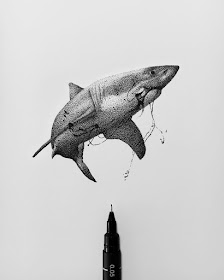 07-Great-White-Shark-Rostislaw-Tsarenko-www-designstack-co