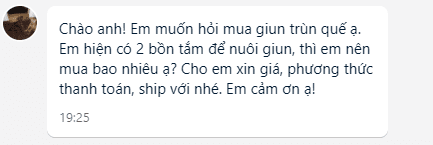 Quảng Nam: Hỏi mua trùn quế