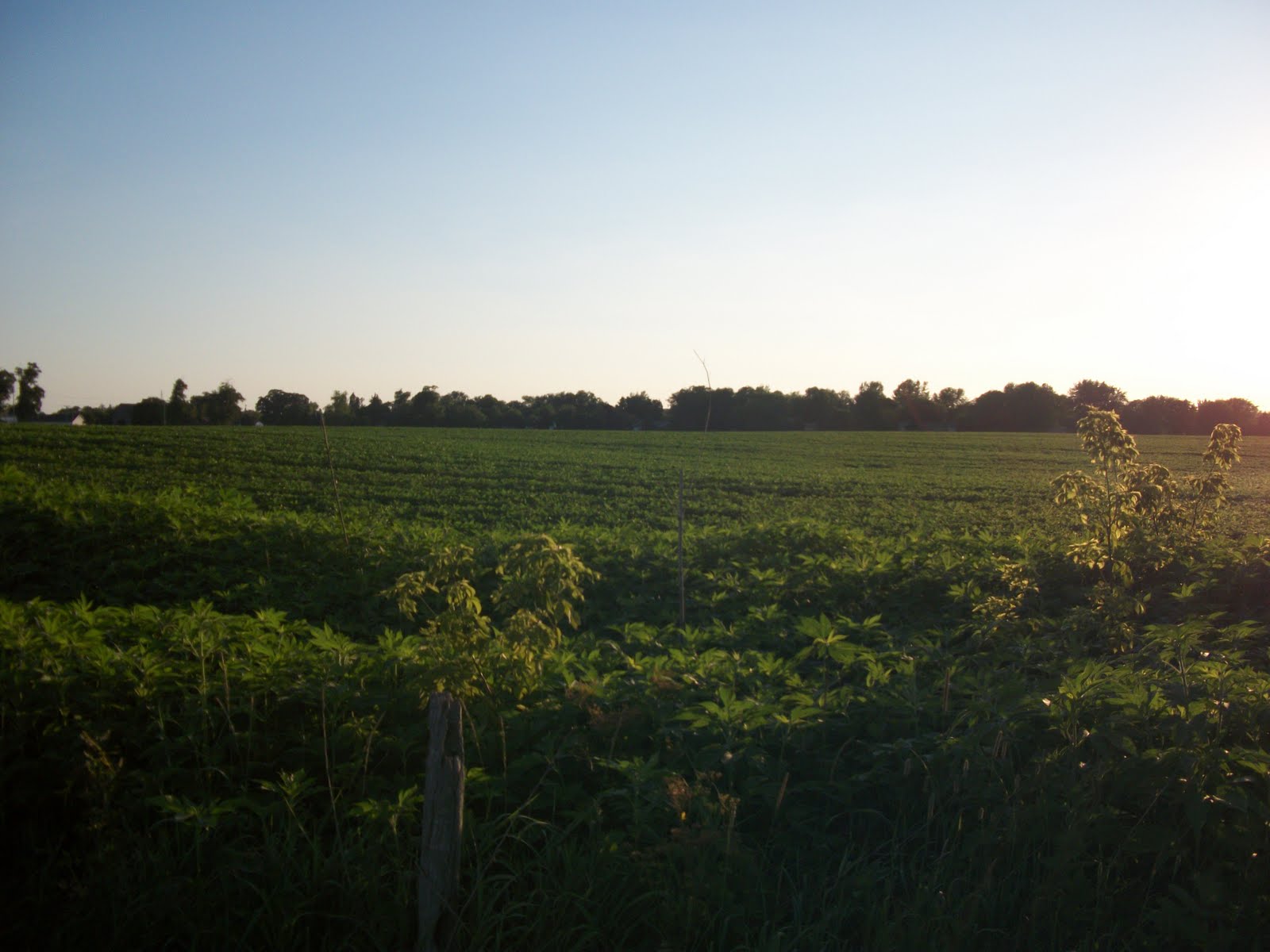 Faith. Home. Love. Illinois Farmland