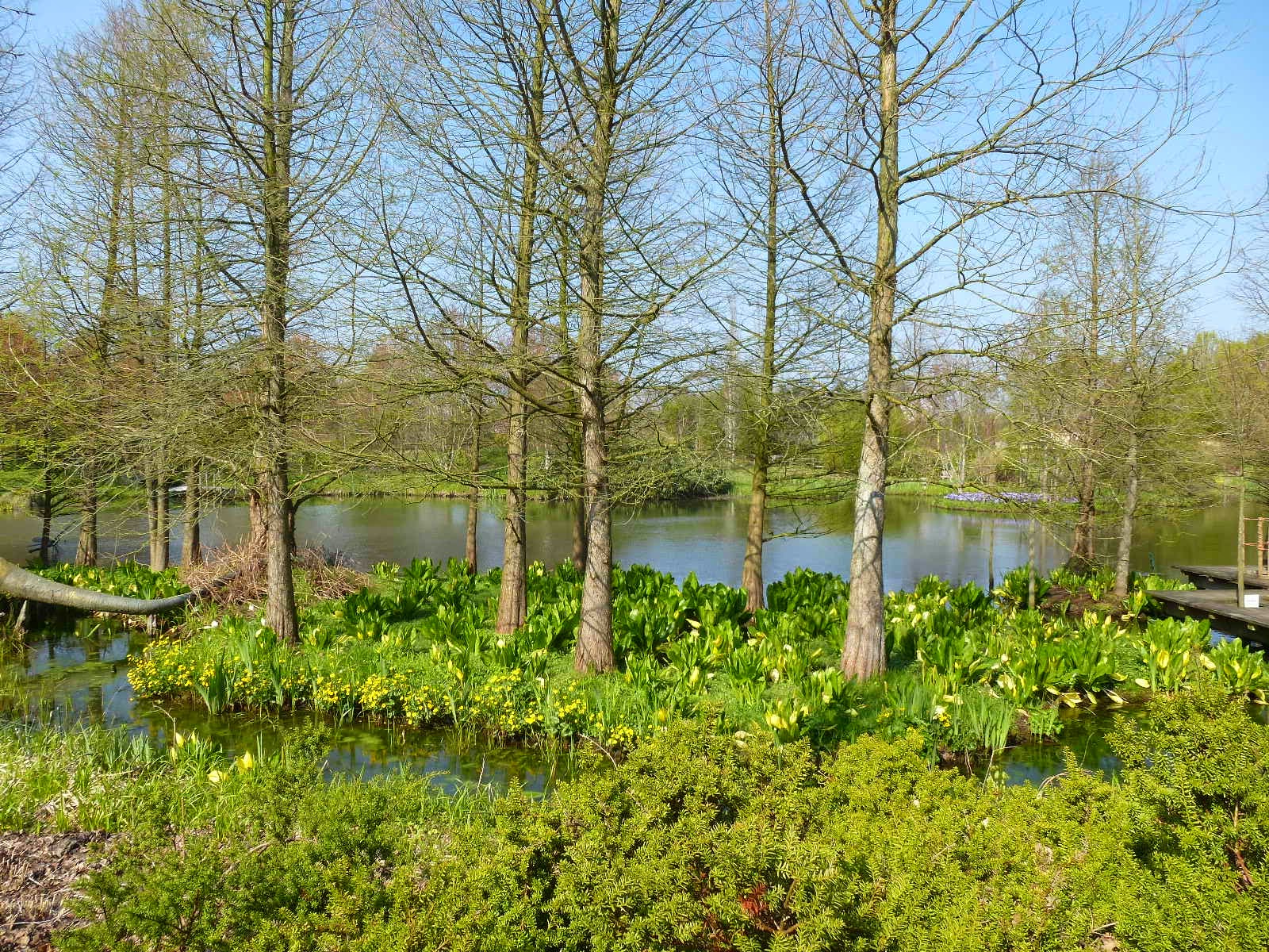 MikesSeite.de Arboretum EllerhoopThiensen