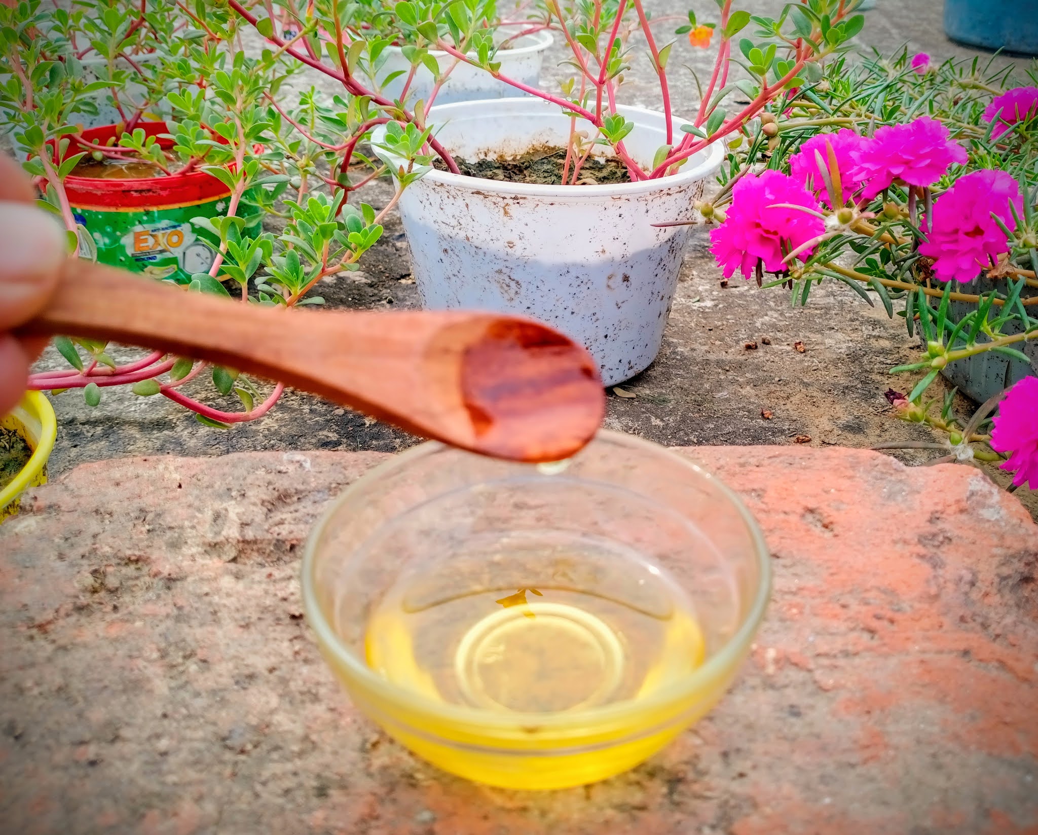 Kashmir Walnut Oil Benefits and Uses on Skin ft Trikuta Oils, Jammu.