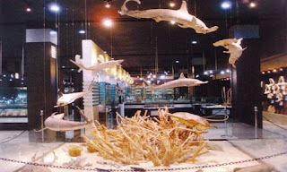 museum%2Bkerang%2Bbali