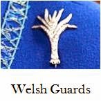 http://queensjewelvault.blogspot.com/2015/04/welsh-guards-badges.html
