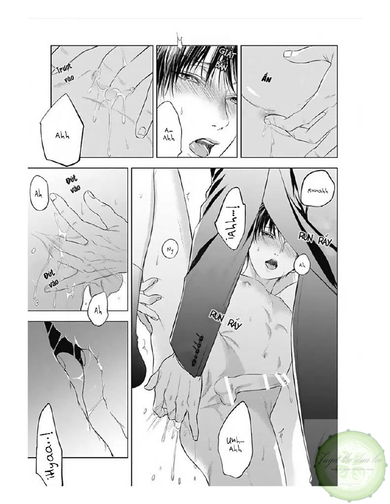 Đọc truyện Cô Dâu Của Alpha - Chapter 6