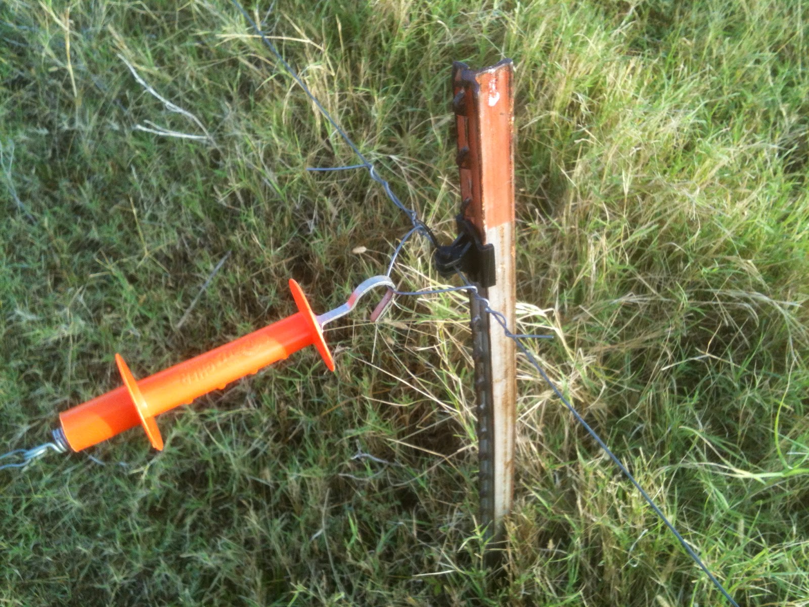 Watch Out For The Bull Weaning Calves and Building an Electric Fence