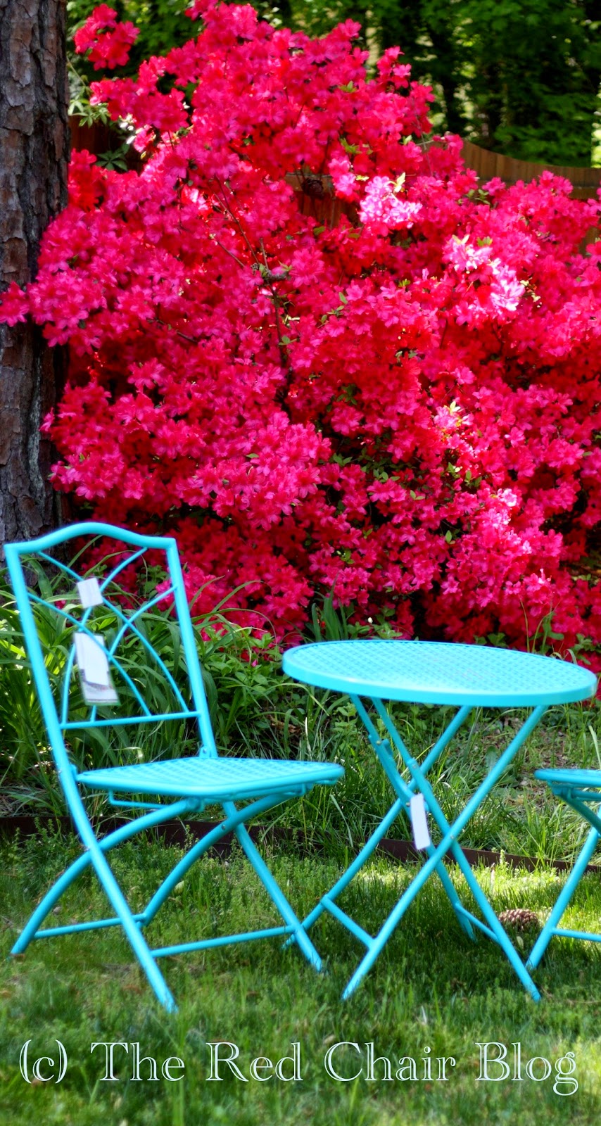 HD Designs aqua turquoise blue folding bistro set with azaleas at The Red Chair Blog