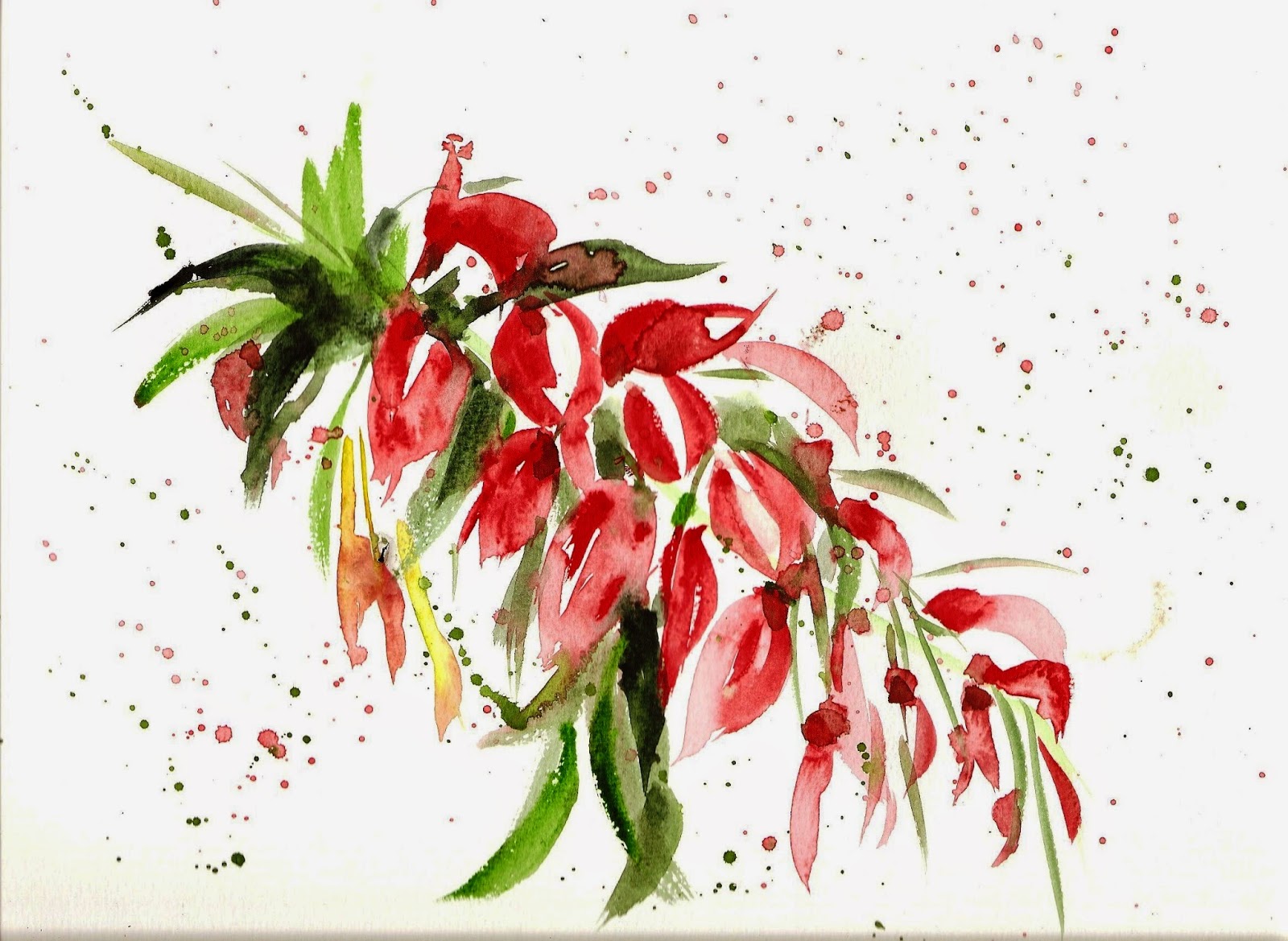 LA MAGIA DEL COLOR: CEIBO, flor nacional de Argentina