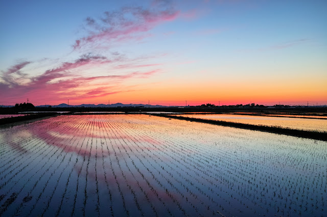 #photo #landscape #sigma #foveon #sdquattroh #japan #yamagata #tsuruoka #写真 #風景写真 #山形帝國 #山形県 #鶴岡市