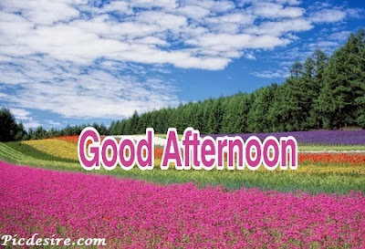 Best 50 Good Afternoon Images 2020 || Good Afternoon Images for Whatsapp Best 50 Good Afternoon Images 2020 || Good Afternoon Images for Whatsapp