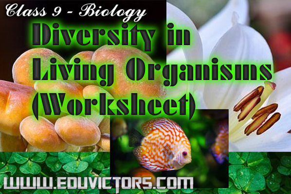 CBSE Papers, Questions, Answers, MCQ: CBSE Class 9 - Biology