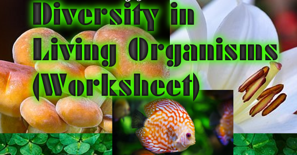 CBSE Papers, Questions, Answers, MCQ: CBSE Class 9 - Biology