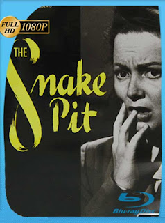 Nido De Viboras [1948] HD [1080p] Latino [GoogleDrive] SXGO