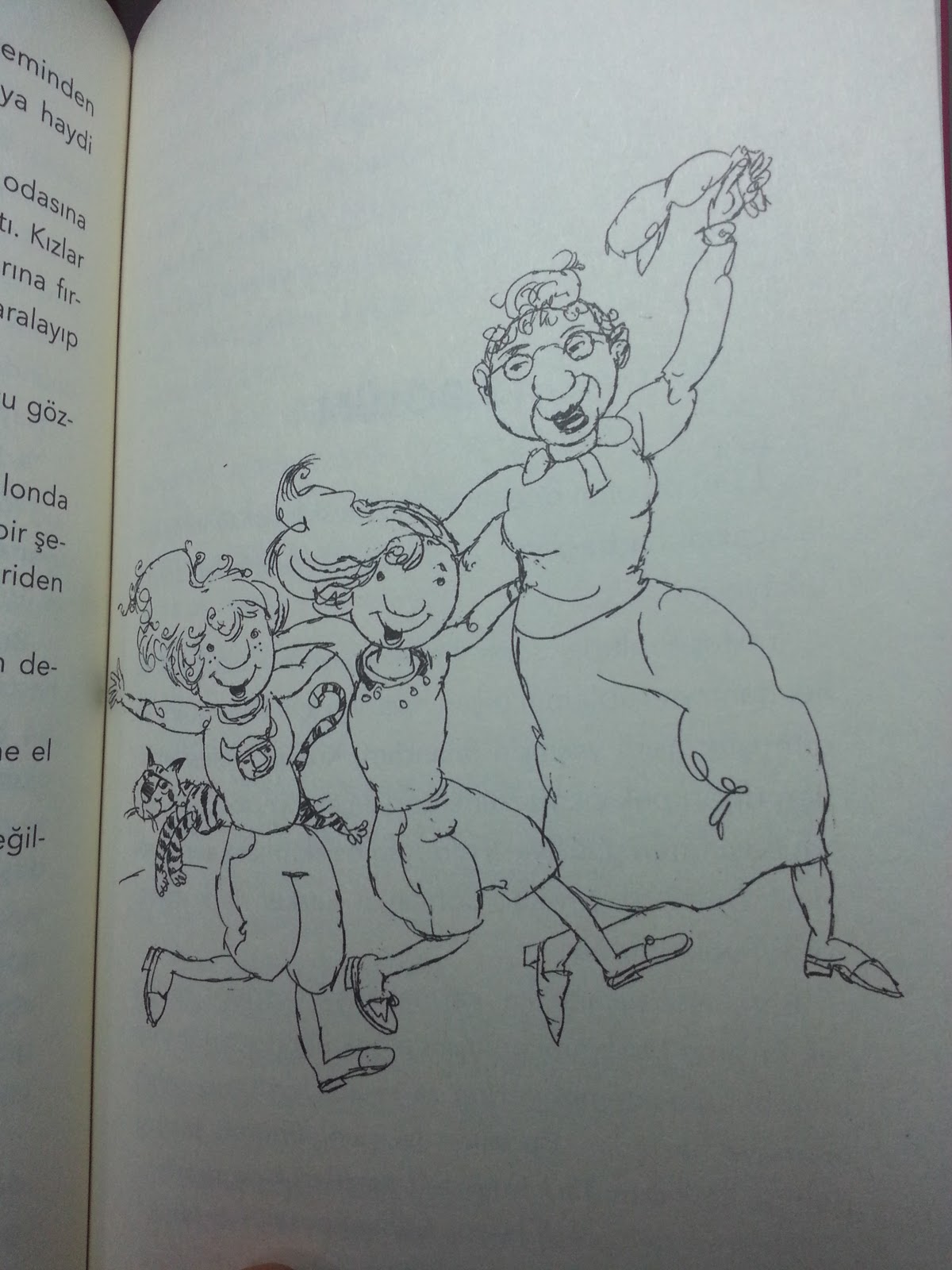 2 Balık 1 Kedi Kasım 2015