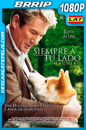 DescargatePelis.com