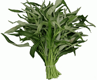 Semua tentang Kangkung, Sayur Inspirasi Kaya Makna dan Manfaat Semua tentang Kangkung, Sayur Inspirasi Kaya Makna dan Manfaat