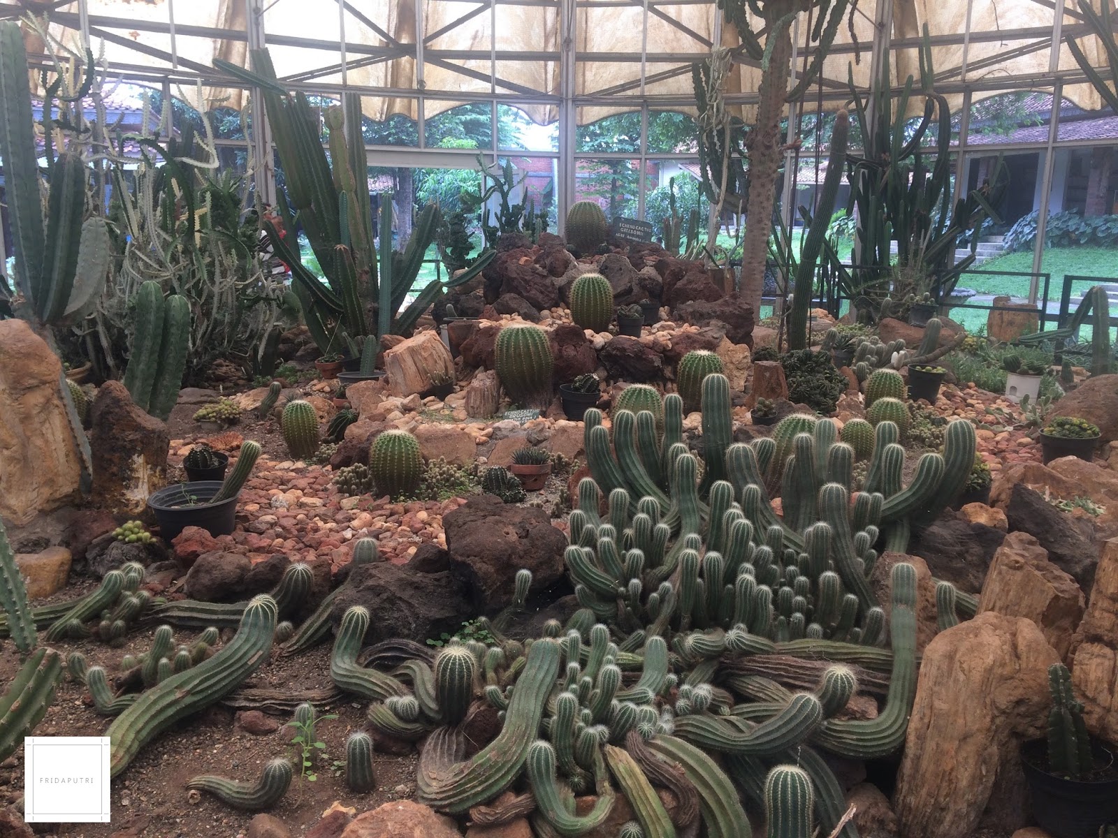 F R I D A P U T R I: Traveling: Taman Kaktus di Taman Mini Indonesia