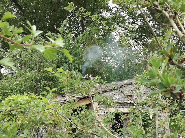 Chelsea Flower Show 2018