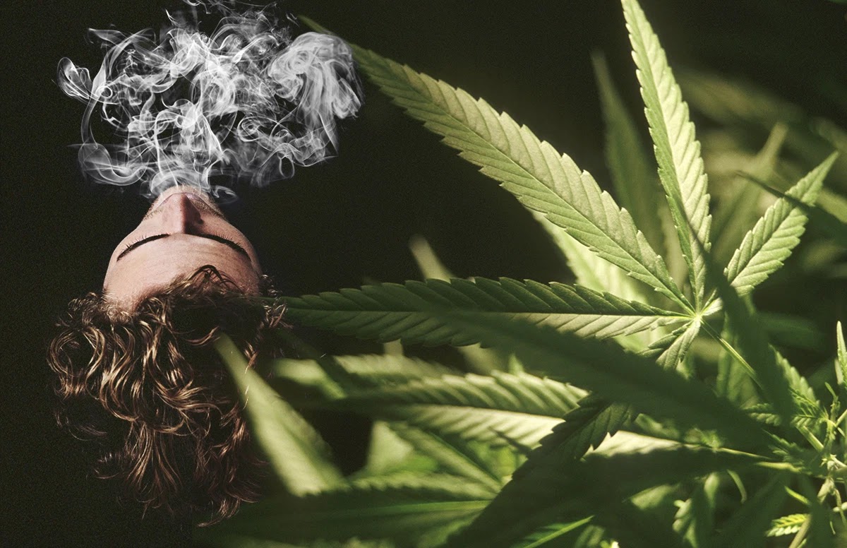Reasons Why You Should Smoke Weed Instead Of Cigarettes. Blinkwiseblog