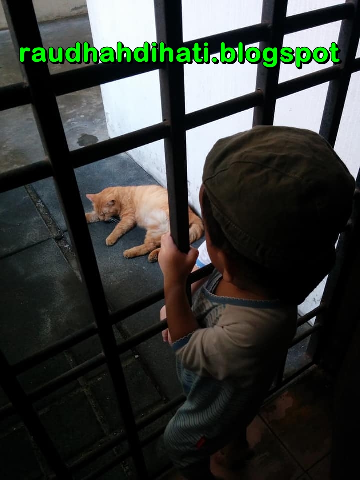 Review untuk Daiso Cat Repellent